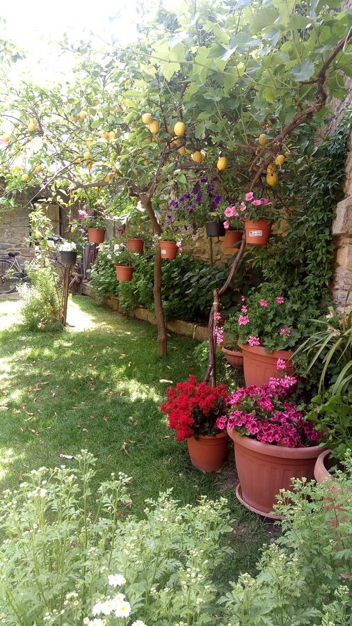 Villasalto B&B Teresina מראה חיצוני תמונה